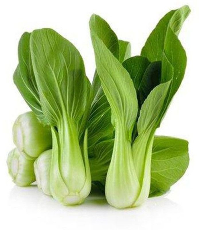 XOLDA Pak Choi/Bok choy Seed  (50 per packet)