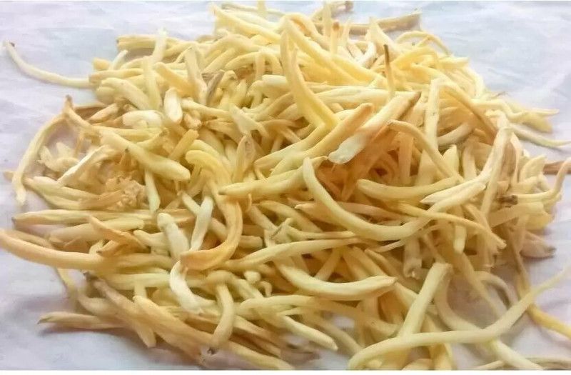 TAMRANSH TAMRANSH SAFED MUSLI PACK OF 400 GRAMS Seed  (400 g)