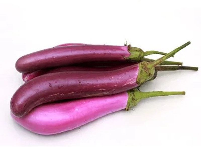 XOLDA Hybrid Brinjal purple long Seed  (64 per packet)