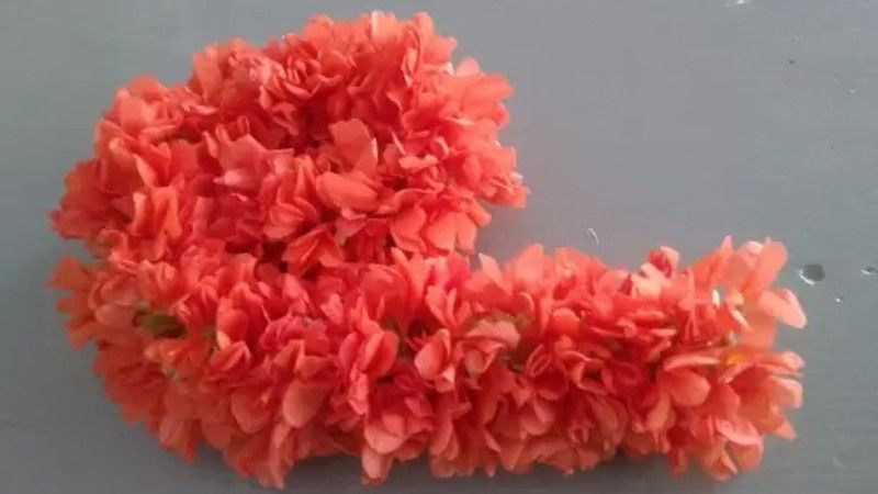 Aro Crossandra, Firecraker Flower Seed  (30 per packet)