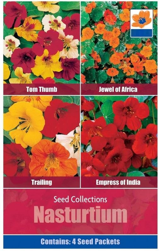 CYBEXIS Nasturtium 4 in 1 Pack Includes (Tom Thumb Jewel Africa Trailing Empress India) Seed  (50 per packet)