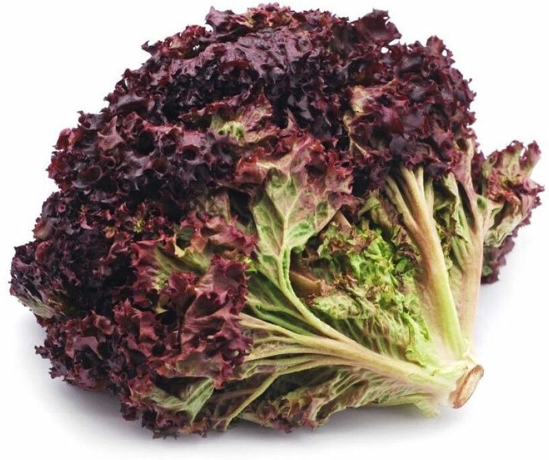 Mozette Red lettuce Seed  (29 per packet)