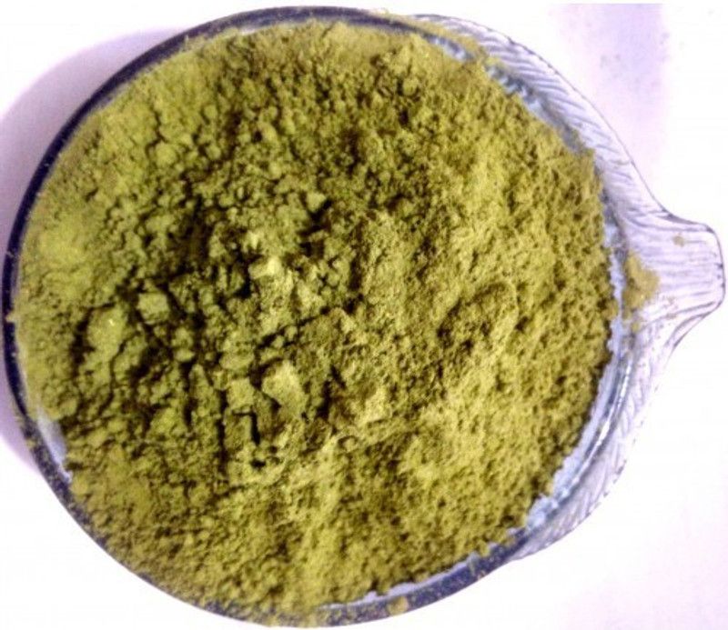 Nature Green SENNA PATTA POWDER Seed  (500 per packet)