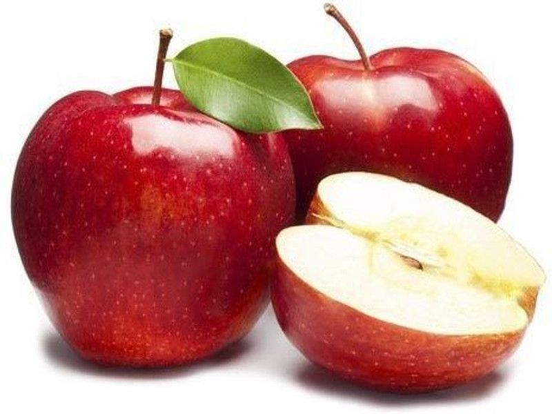 XOLDA Apple Seed  (47 per packet)