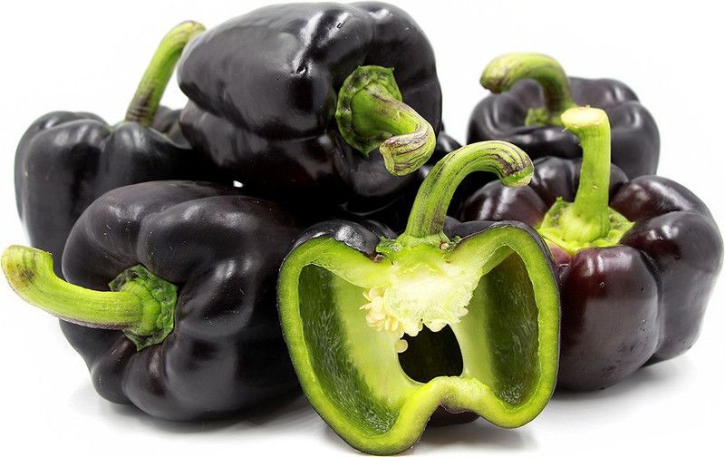 Paudha Capsicum Purple Seed  (15 per packet)