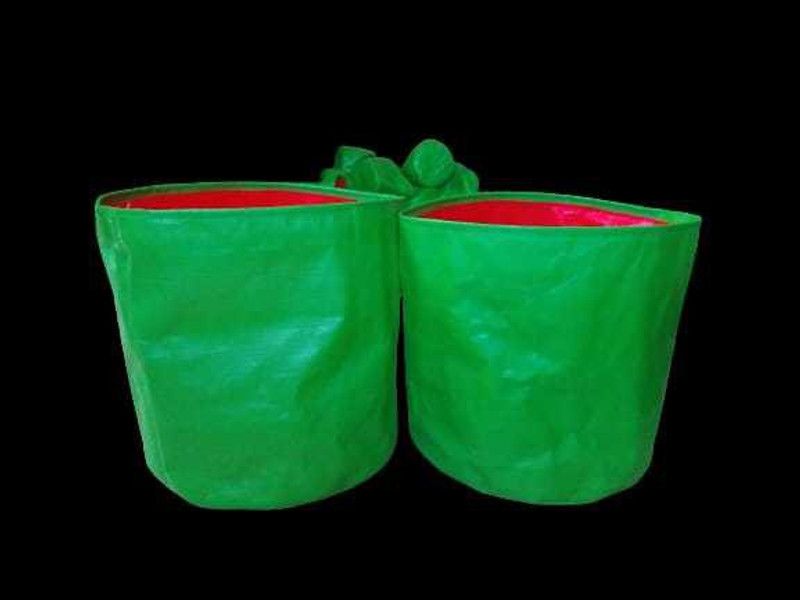 SSM fruit trees Grow Bag