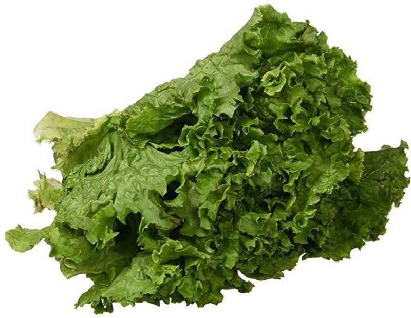 PMB Lettuce Curry Seed  (25 per packet)