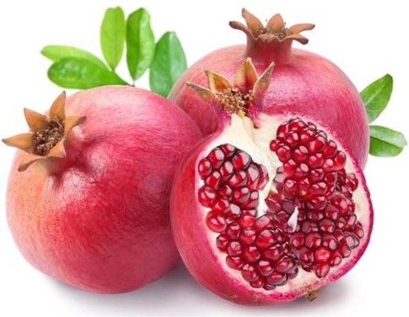 Paudha pomegranate (Anaar) Seed  (11 per packet)