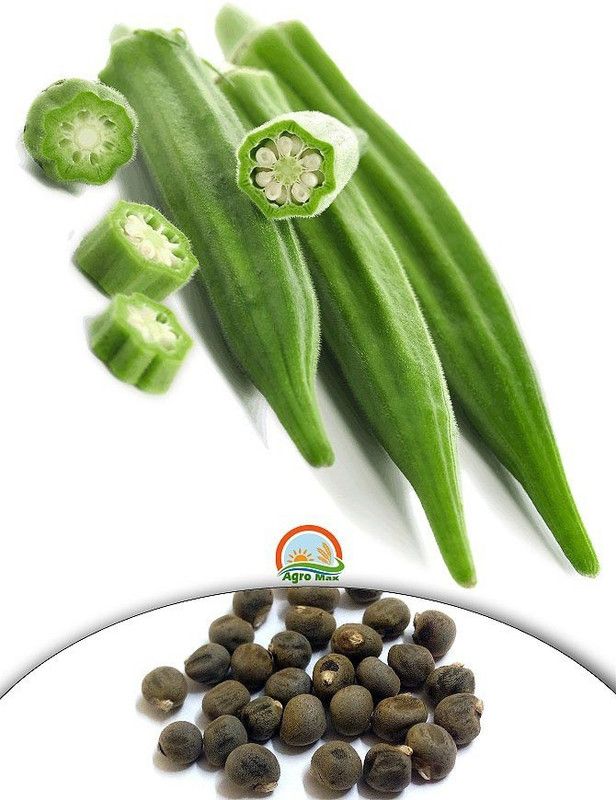Xesas Okra - Lady Finger Vegetable Seeds Seed  (120 per packet)
