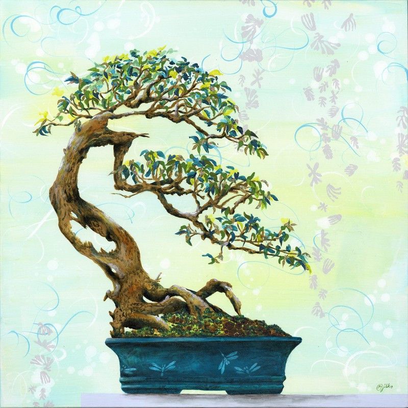Organic Galaxy beautiful bonsai herb hybrid seeds 1-packet Seed  (50 per packet)