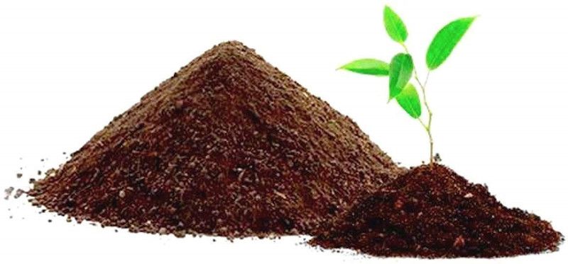 DIOART COW DUN MANURE-13831 Fertilizer, Manure  (1 kg, Powder)