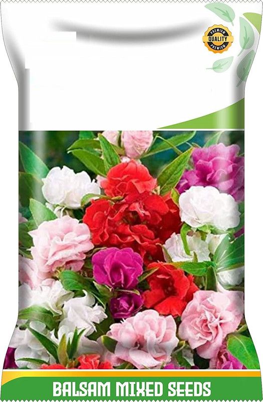 CYBEXIS Flower Seeds Balsam Mix Seed  (25 per packet)