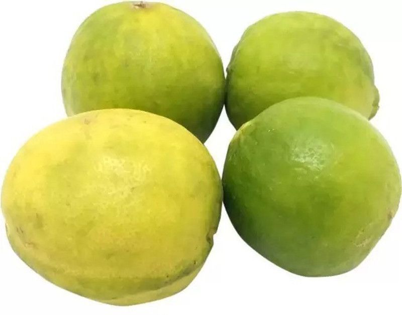 Chalisa Lemon Seed  (48 per packet)