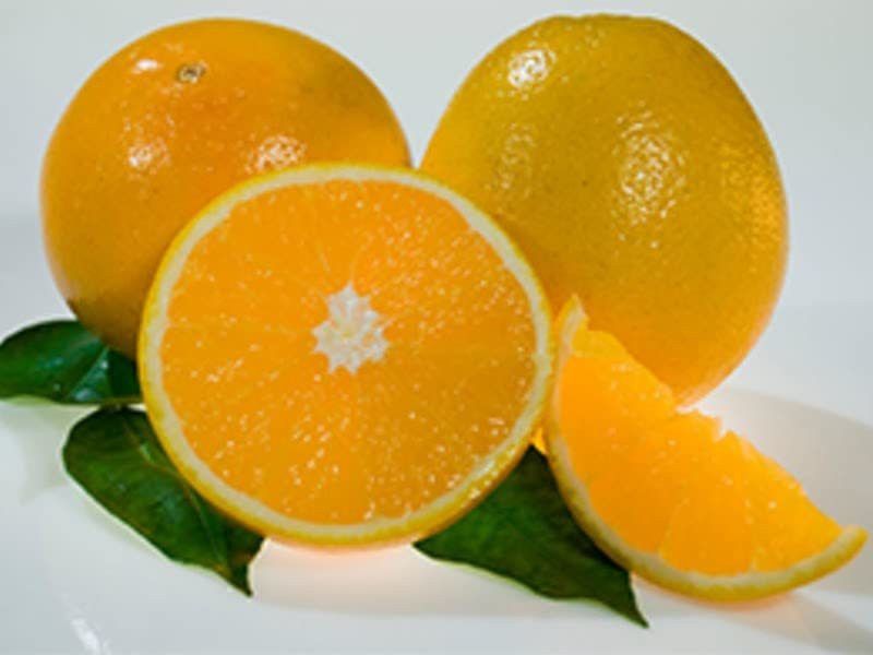 JRYU Sweet Mosambi Citrus Seed  (46 per packet)
