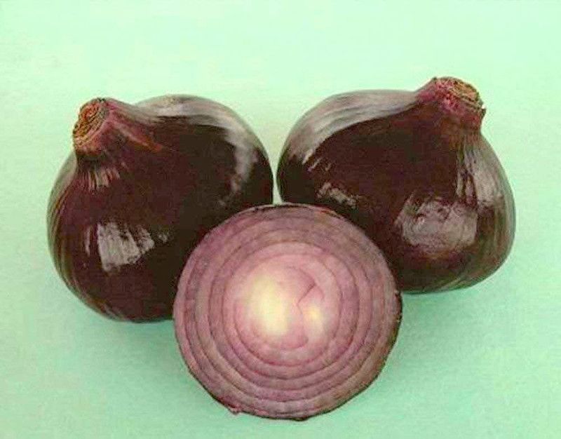 WILLVINE XLR-907 Onion Star black seeds Seed  (1000 per packet)