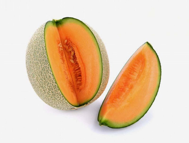 JRYU Muskmelon, kharbuja Seed  (210 per packet)
