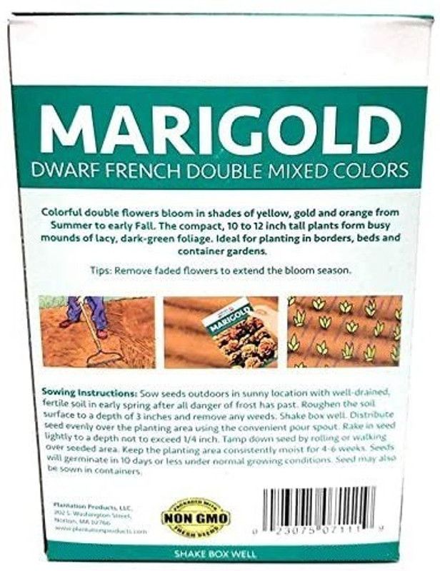WILLVINE Marigold Seed  (500 per packet)