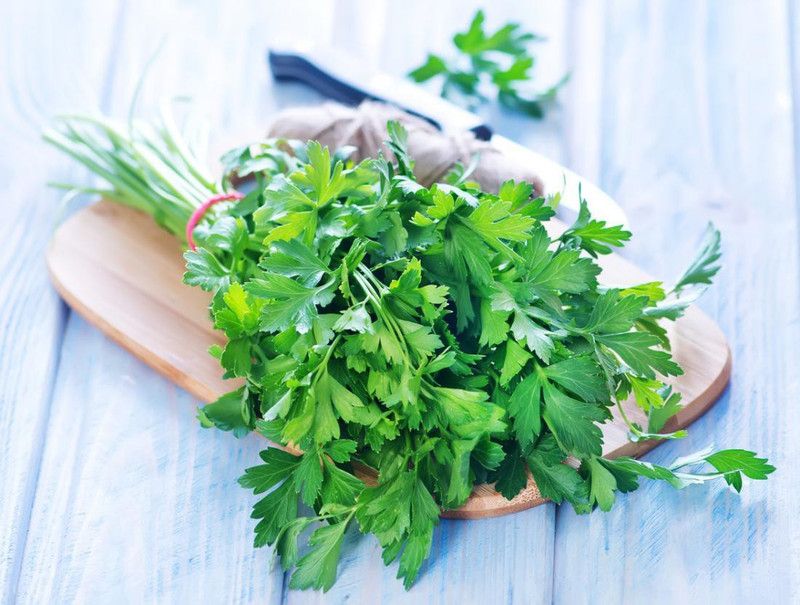 Nodoc Parsley Seed  (78 per packet)