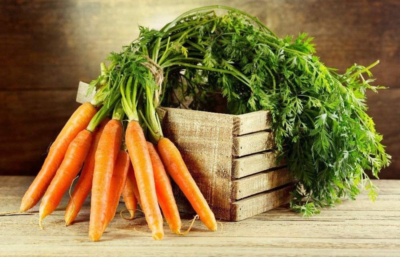 WILLVINE ™Organic - Carrot - Early Nantes Seed  (2500 per packet)