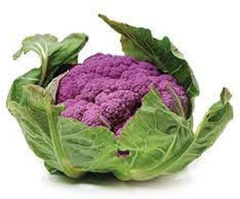 JRYU Purple Cauliflower (GOBHI) Seed  (500 per packet)