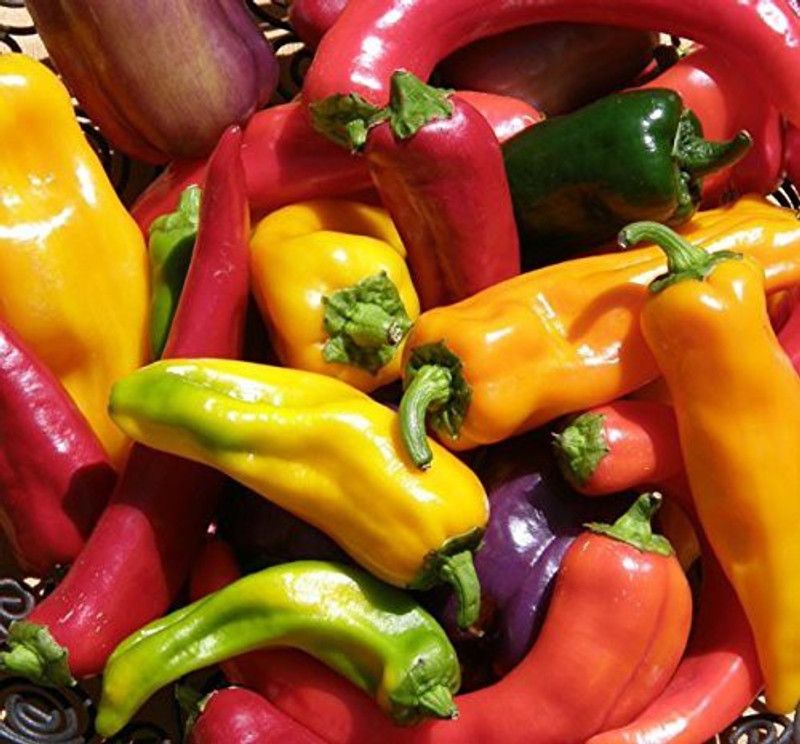 VibeX � XX-665-Hot Pepper Seed Combo Seed  (50 per packet)
