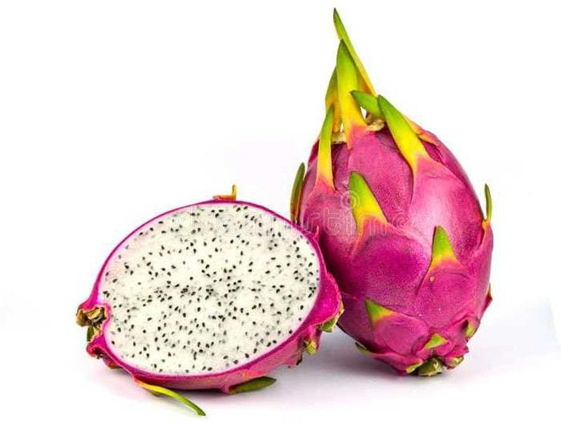Oliver dragon fruit seed Seed  (23 per packet)