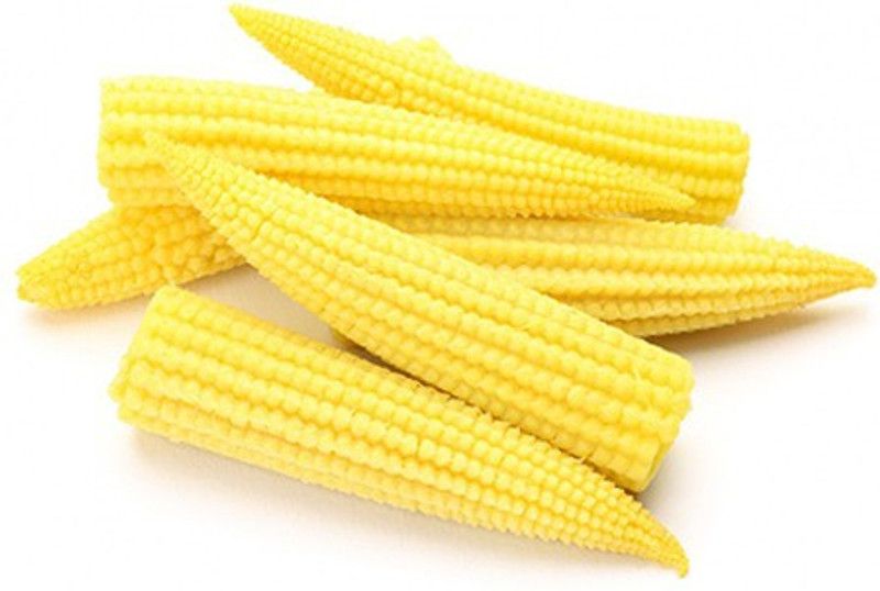 Paudha Baby Corn Seed  (43 per packet)
