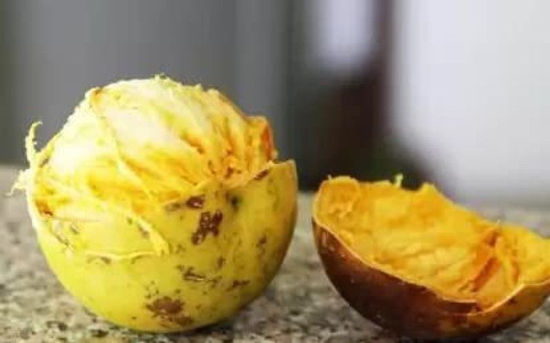 JRYU Bilva Patra Hybrid Fruit Seed  (34 per packet)