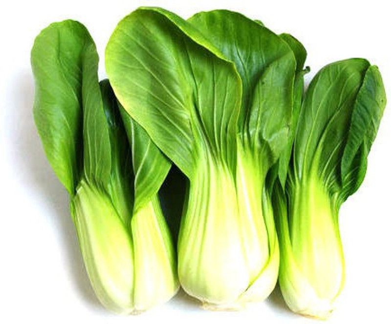 Paudha Cabbage Seed  (20 per packet)