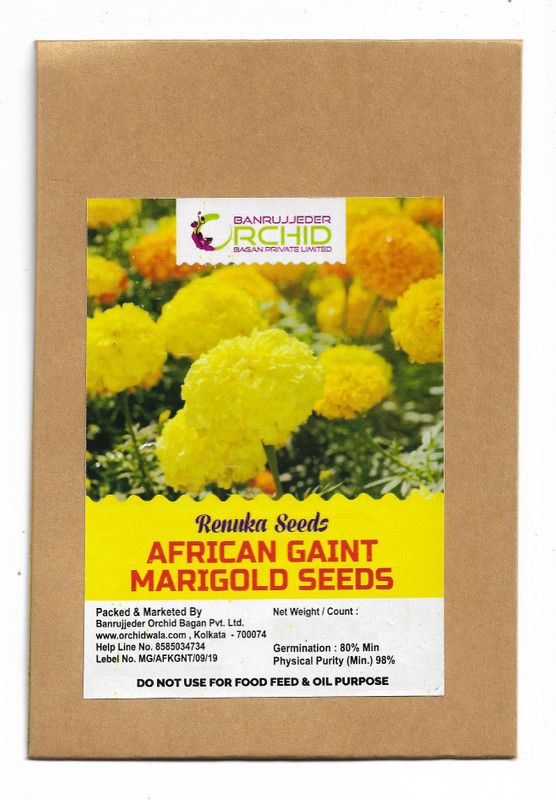 RENUKA SEEDS Marigold Seeds African Giant 100 Seeds Pack Seed  (100 per packet)