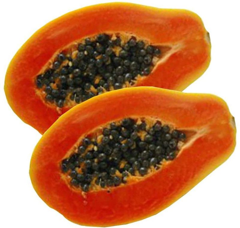 KLARKEE Royale Papaya Seeds Seed  (20 per packet)