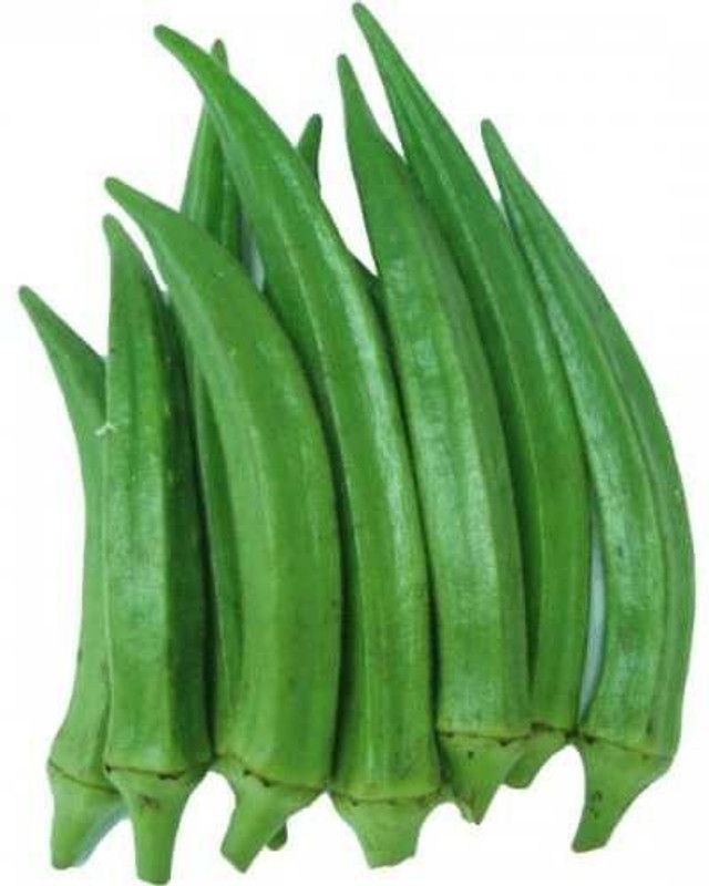 XOLDA Hybrid Bhendi Seed  (54 per packet)