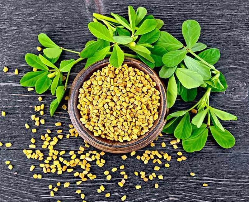 PLANTZON Methi/Fenugreek Seed  (45 per packet)