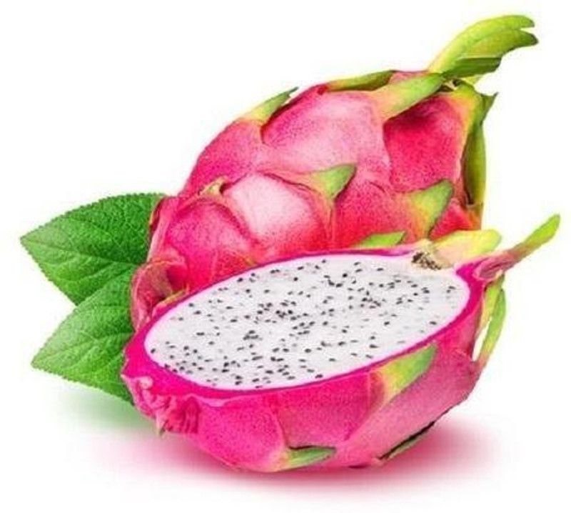 PLANTZON Dragon Fruit Seed  (50 per packet)