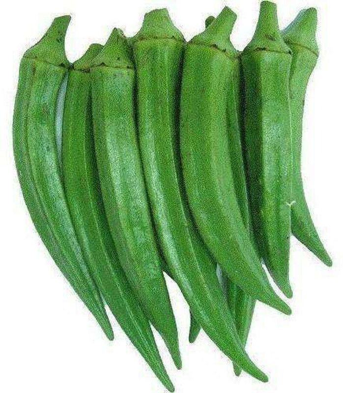 Nodoc Bhendi Seed  (90 per packet)