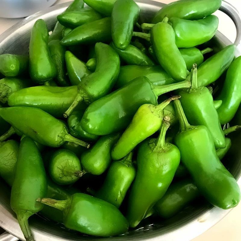 granthi Bullet Chilly/Green Chilly/Pickled chilli Seed  (1000 per packet)