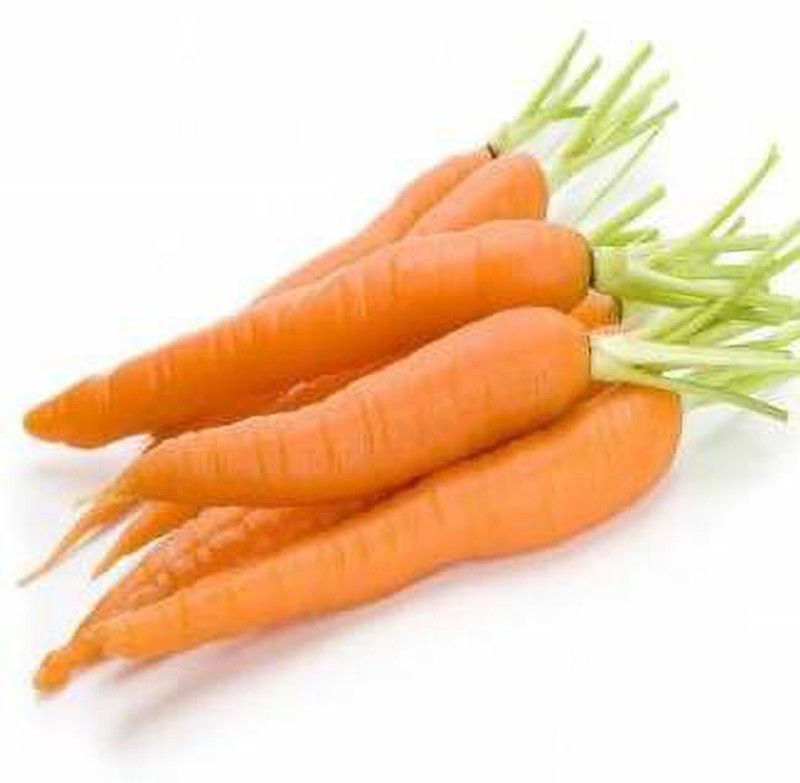 YOUNG STAR UY42 BEST SELLER PREMIUM 1000 SEEDS OF REDDISH CARROTS (GAJJAR) 100% GERMINATION 1000 SEEDS OF HYBRID IMPORTED CARROT Seed  (1000 per packet)