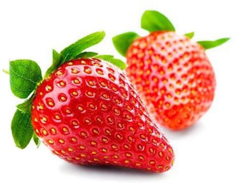 XOLDA Organic Strawberry Fruit Seed  (83 per packet)
