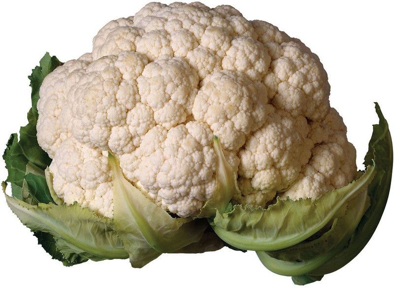 Nodoc Cauliflower Seed  (23 per packet)