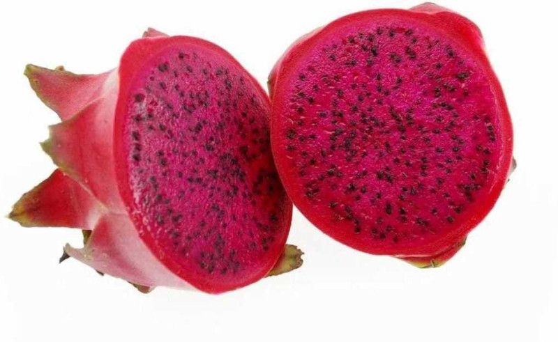 Oliver HIGH Quallity F1 hybrid Dragon fruit sees Seed  (45 per packet)