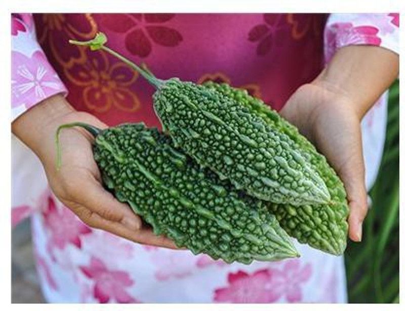 Paudha BITTER GOURD Seed  (25 per packet)