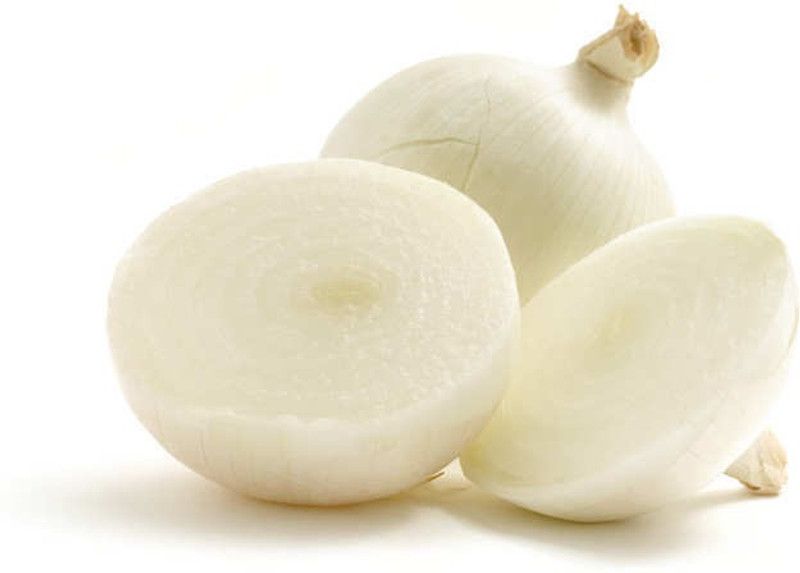 XOLDA Organic White Onion Plant Seed  (92 per packet)