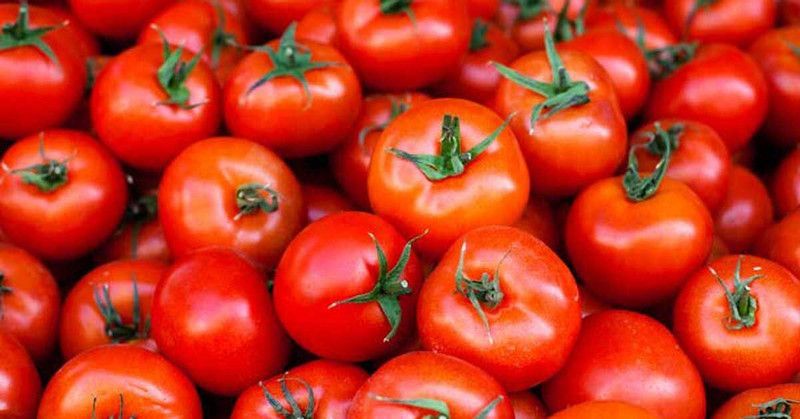 Mozette Hybrid Tomato Seed  (55 per packet)