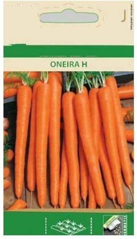 Qualtivate ™ Carrot ONEIRA H Seeds Seed  (500 per packet)