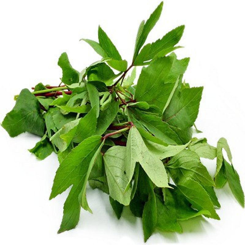 Paudha Ambada Seed  (15 per packet)