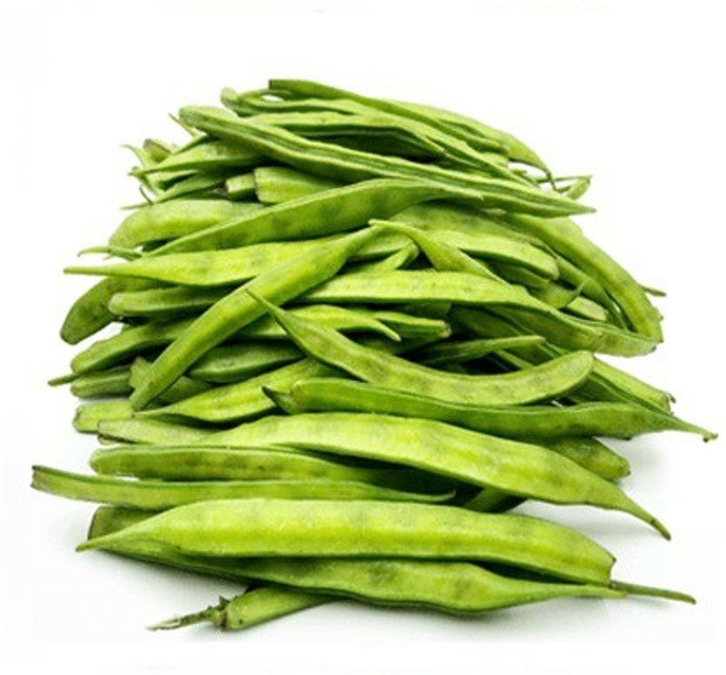 Paudha Clusterbeans (GUAR) Seed  (20 per packet)