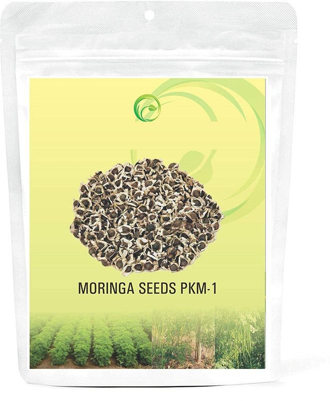 MKR ENTRPRISES Drumstick Seed  (130 per packet)