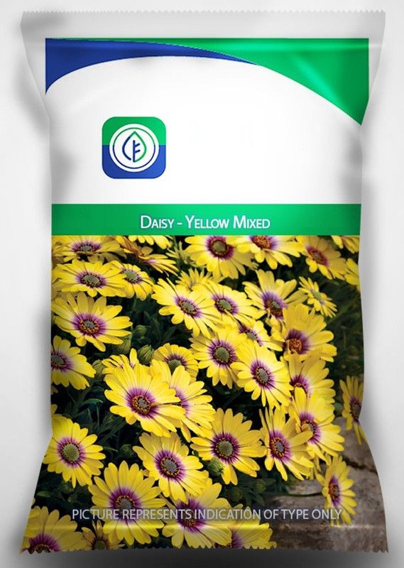 CYBEXIS Daisy - Yellow Mixed Flower Seeds Seed  (50 per packet)