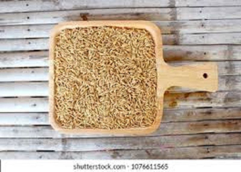 Sjeme BAMBOO Seed  (80 per packet)