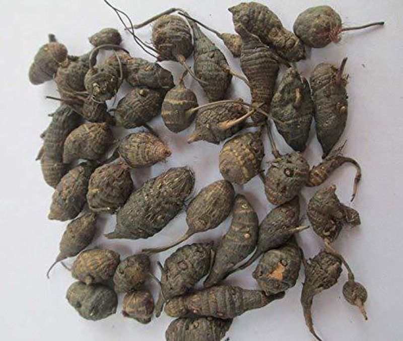 ANDARISTORE Korai Kilangu(Kizhangu) Roots/nagarmotha /Cyperus Rotundus/Nut Grass Root(100g) Seed  (100 g)